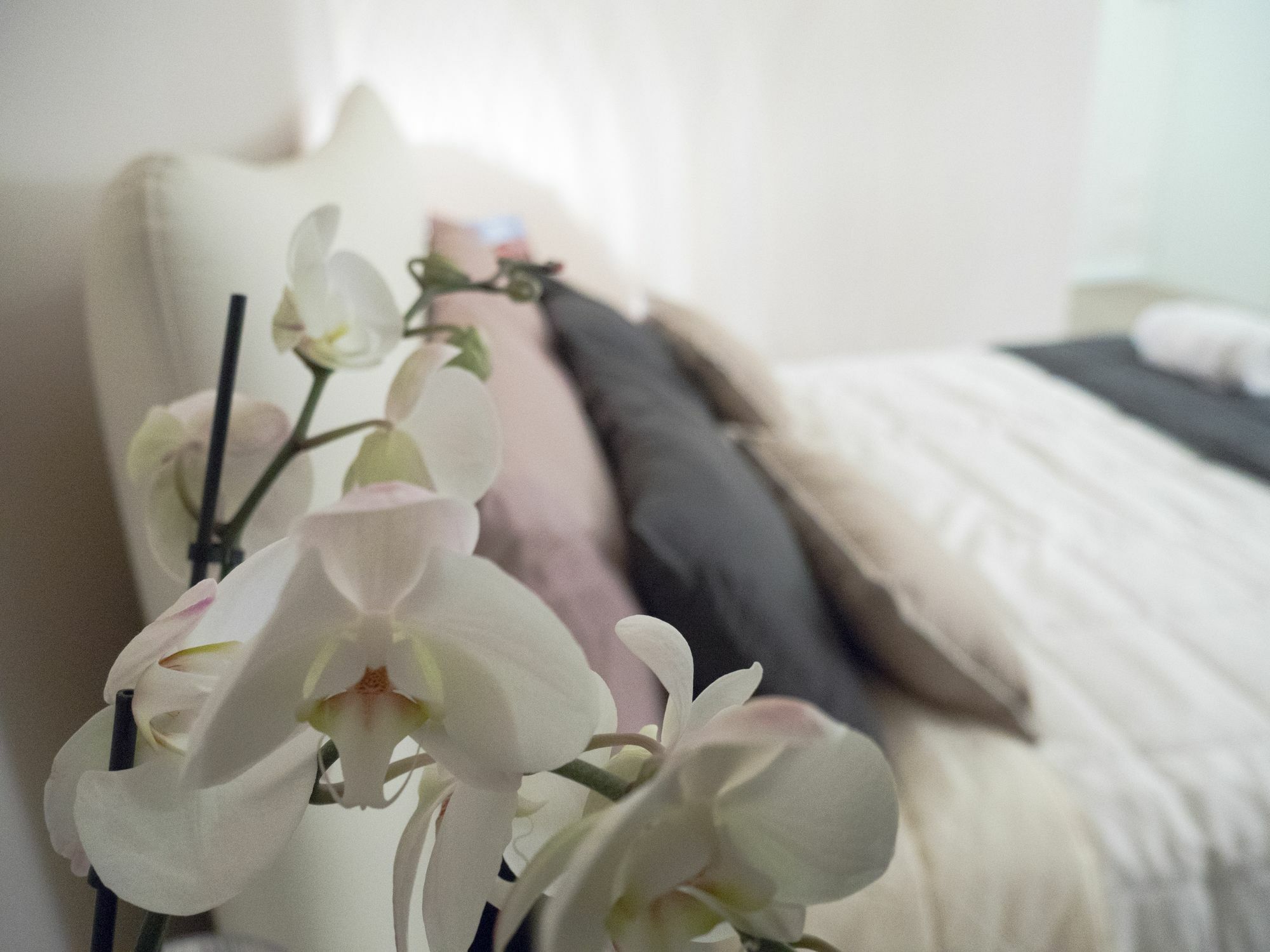 Relais Love เวโรนา ภายนอก รูปภาพ